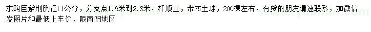 求購(gòu)胸徑11公分巨紫荊