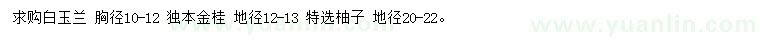 求購胸徑10-12公分白玉蘭