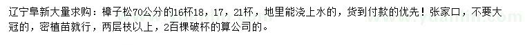 求購(gòu)70公分樟子松