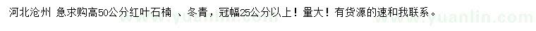 求購高50公分紅葉石楠 、冬青