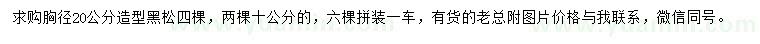 求購胸徑10、20公分造型黑松