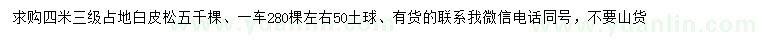 求購4米占地白皮松
