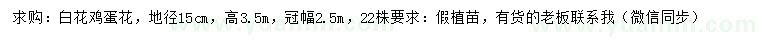求購地徑15公分白花雞蛋花