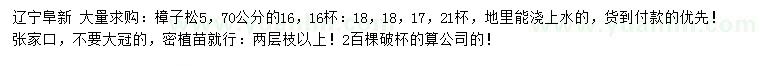 求購50公分樟子松