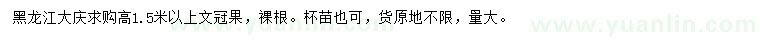 求購高1.5米以上文冠果