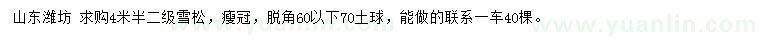 求購4.5米雪松