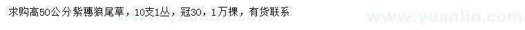 求購高5O公分紫穗狼尾草