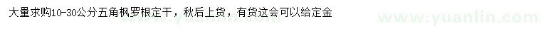 求購(gòu)10-30公分五角楓