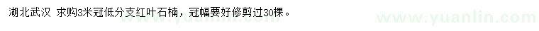 求購(gòu)3米紅葉石楠