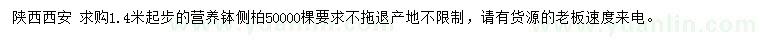 求購1.4米起步側(cè)柏