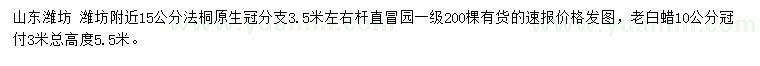 求購15公分法桐