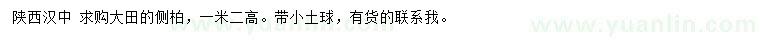 求購(gòu)高1.2米側(cè)柏
