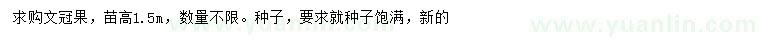 求購(gòu)高1.5米文冠果、文冠果種子