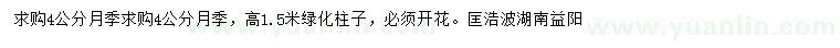 求購4公分月季
