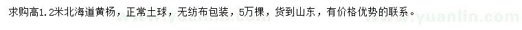 求購高1.2米北海道黃楊