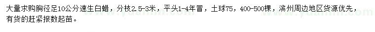 求購(gòu)胸徑10公分速生白蠟