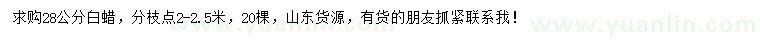 求購28公分白蠟
