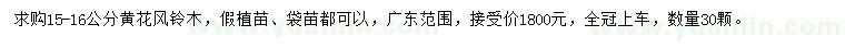 求購15-16公分黃花風(fēng)鈴木