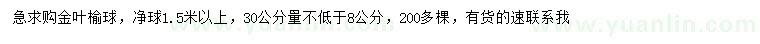 求購30公分量不低于8公分金葉榆球