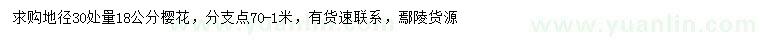 求購地徑30處量18公分櫻花