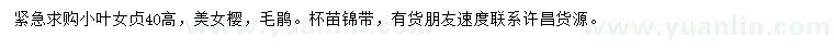 求購(gòu)小葉女貞、美女櫻、毛鵑等