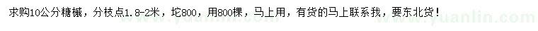 求購10公分糖槭