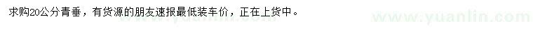 求購20公分青垂