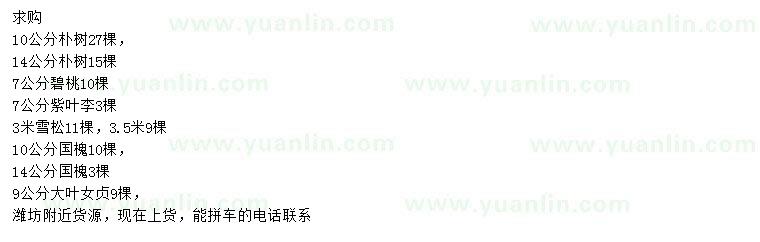 求購樸樹、碧桃、紫葉李等