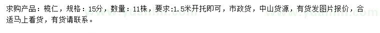 求購15公分欖仁