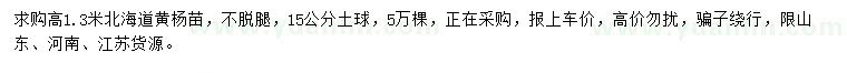 求購高1.3米北海道黃楊