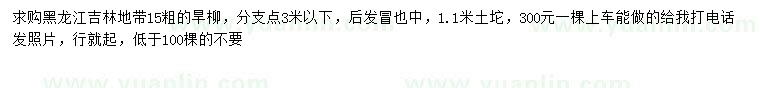 求購15公分旱柳