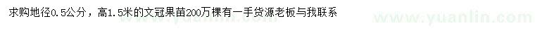 求購高1.5米文冠果苗