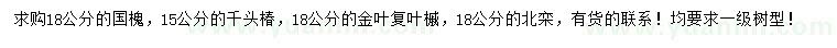 求購(gòu)國(guó)槐、千頭椿、金葉復(fù)葉槭等