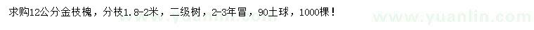 求購(gòu)12公分金枝槐