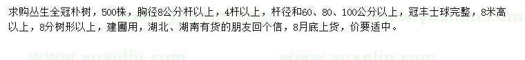 求購(gòu)高8米以上叢生樸樹(shù)