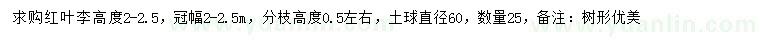 求購高2-2.5米紅葉李