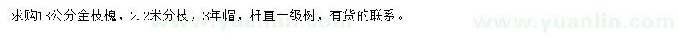 求購13公分金枝槐