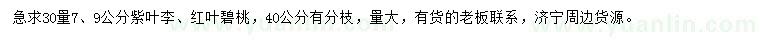 求購30量7、9公分紫葉李、紅葉碧桃