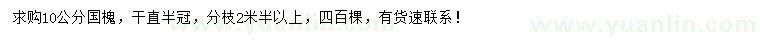 求購(gòu)10公分國(guó)槐