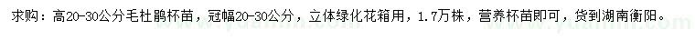 求購(gòu)高20-30公分毛杜鵑