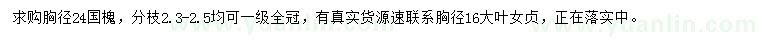 求購胸徑24公分國槐