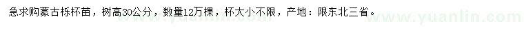 求購(gòu)高30公分蒙古櫟