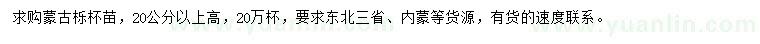 求購高20公分以上蒙古櫟