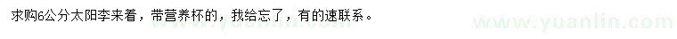 求購6公分太陽李