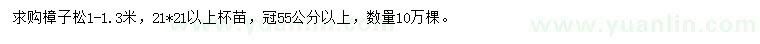 求購1-1.3米樟子松