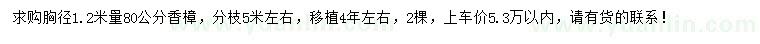 求購(gòu)胸徑1.2米量80公分香樟