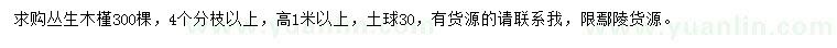 求購(gòu)高1米以上木槿