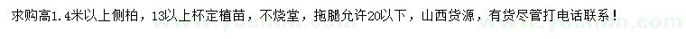 求購高1.4米以上側(cè)柏