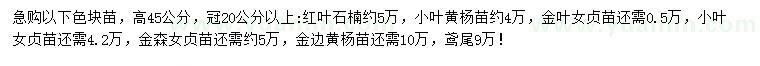 求購紅葉石楠、小葉黃楊、金葉女貞等