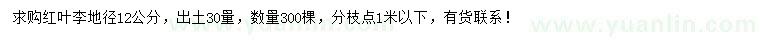 求購地徑12公分紅葉李